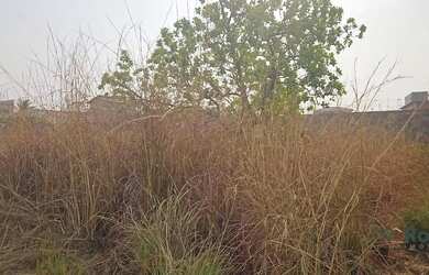 Imagem: O terreno possui 300m² de Área e está localizado em Parque