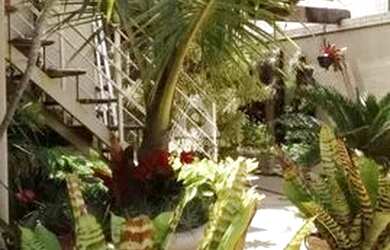 Imagem 15: Maravilhosa cobertura linear, com 4 quartos (2 suítes, 1 suíte canadense, 1 quarto/escritó