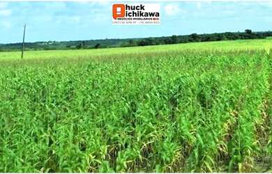 Imagem 6: ARRENDAMENTO. 