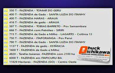 Imagem 11: ARRENDAMENTO. 