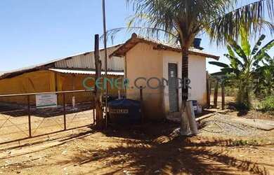 Imagem 7: 2072 Maravilhosa E Produtiva Fazenda De 57 Ha Na Região De Sete Lagoas...