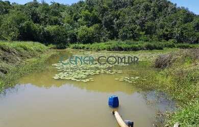 Imagem 12: 2072 Maravilhosa E Produtiva Fazenda De 57 Ha Na Região De Sete Lagoas...