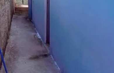 Imagem: A casa possui 1 Dormitório, 1 Banheiro, 1 Vaga na garagem e