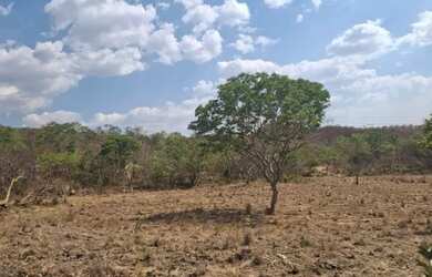 Imagem: A fazenda possui 1.584.000m² de Área e está localizado em