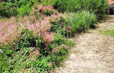 Imagem 4: Terreno, 495 m² - venda por R$ 500.000,00 ou aluguel por R$ 2.801,00/mês...