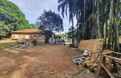 Imagem 10: Área disponível para venda 6.745 m² no bairro Chácaras Tubalina e Quartel em Uberlândia-MG