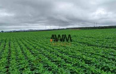 Imagem: A fazenda possui 18972800m² de Área e está localizado em