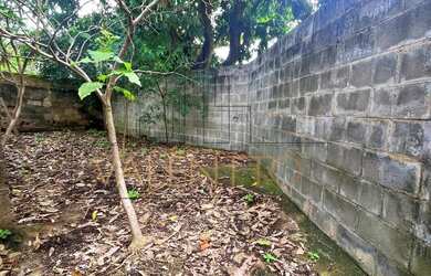 Imagem 10: casa - Vila Paraíso - Campinas