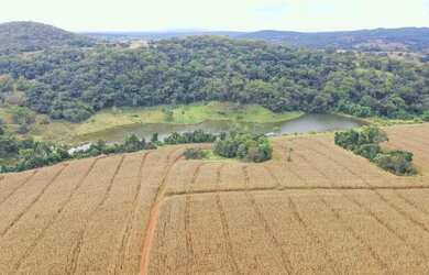 Imagem 2: Fazenda a venda, em Santa Cruz de Goiás