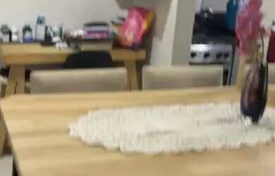 Imagem 5: Apartamento para venda possui 42 metros quadrados com 2 quartos em Tejipió...