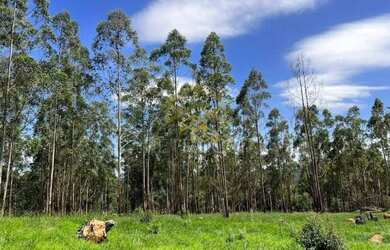 Imagem 5: Terreno à venda, 20171 m² por R$ 744.900,00 - Condomínio Fazenda Iracema...