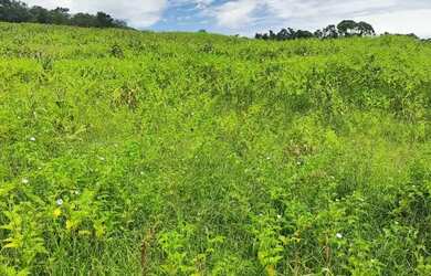 Imagem: Oportunidade de terreno à venda em Ibiúna com fácil acesso