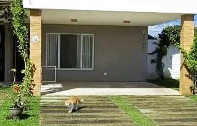 Imagem: A casa em condomínio possui 3 Dormitórios, 3 Banheiros, 2