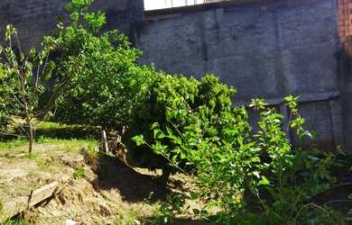 Imagem 12: Aluga-se ou Vende-se Terreno em Itaquaquecetuba