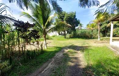 Imagem 13: Área para Venda em Rio de Janeiro, Ilha de Guaratiba, 1 banheiro