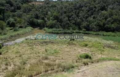 Imagem 15: 2072 Maravilhosa E Produtiva Fazenda De 57 Ha Na Região De Sete Lagoas...