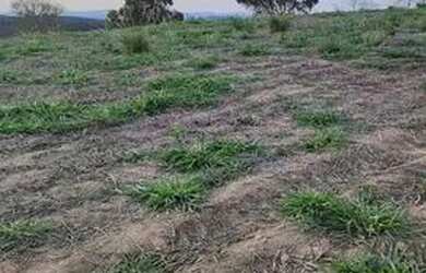 Imagem 14: Lote/Terreno para venda possui 500 metros quadrados em Usina - Atibaia...