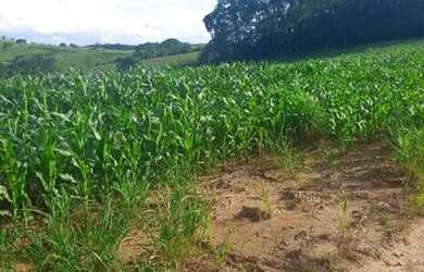 Imagem 7: Lote/Terreno para venda possui 500 metros quadrados em Usina - Atibaia...