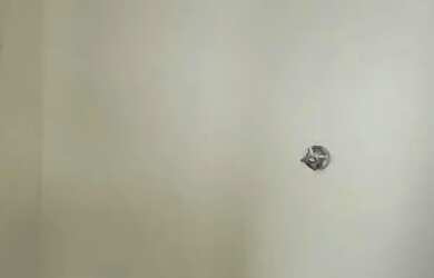 Imagem 16: excelente apartamento 3 dorm transformado em 2 com dependencia completa