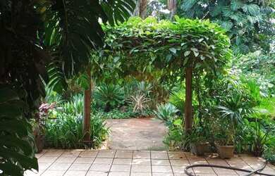 Imagem 13: MANSÃO PARA ALUGAR, 9.730M2 SETOR COIMBRA, GOIÂNIA - GO