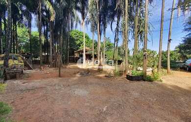 Imagem 9: Área disponível para venda 6.745 m² no bairro Chácaras Tubalina e Quartel em Uberlândia-MG