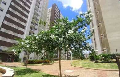 Imagem 16: Apartamento Padrão em Araraquara