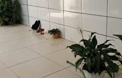 Imagem 4: Casa Vizinho Bairro São Judas