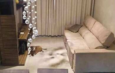 Imagem: A casa possui 3 Dormitórios, 3 Banheiros, 4 Vagas na garagem