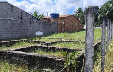 Imagem 9: Medindo 10x40 Terreno no povoado Salvadorzinho ouro fino