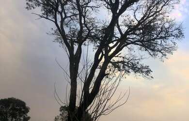 Imagem 9: VENDO TERRENO - Atibaia - SP