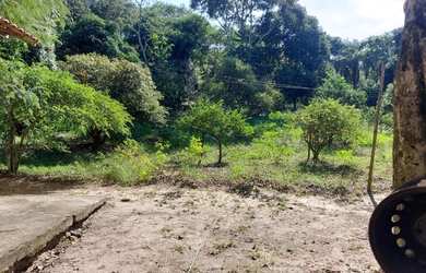 Imagem 12: Área para Venda em Rio de Janeiro, Ilha de Guaratiba, 1 banheiro