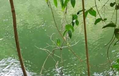 Imagem 2: Oportunidade Vende-se uma excelente fazenda de 68.8 hectares