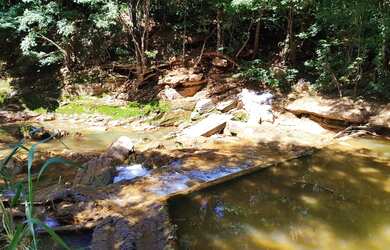 Imagem 7: VENDO SITIO NA ESTRADA DA PRODUÇÃO PROXIMO A SAMAMBAIA COM LINDAS BELEZAS...