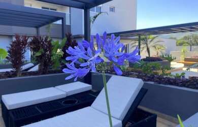 Imagem 5: Apartamento Essencial Carraro