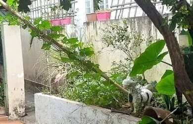 Imagem: A casa possui 2 Dormitórios, 2 Banheiros, 1 Vaga na garagem