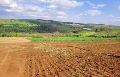 Imagem: A fazenda está localizado em Santa Rosa de Viterbo, SP à venda