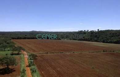Imagem 16: 2072 Maravilhosa E Produtiva Fazenda De 57 Ha Na Região De Sete Lagoas...
