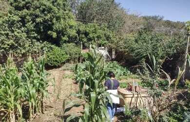 Imagem: O terreno possui 275m² de Área e está localizado em Jardim