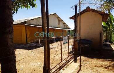 Imagem 8: 2072 Maravilhosa E Produtiva Fazenda De 57 Ha Na Região De Sete Lagoas...