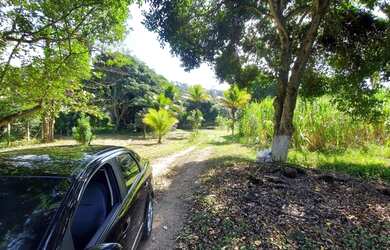 Imagem 4: Área para Venda em Rio de Janeiro, Ilha de Guaratiba, 1 banheiro