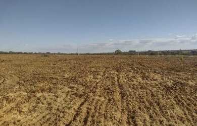 Imagem 2: Vendo fazenda. 