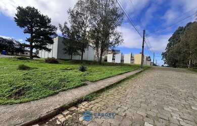 Imagem 7: Terreno de esquina 390m² bairro Desvio Rizzo