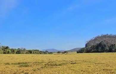 Imagem 11: Excelente fazenda dupla aptidão com 517 hectares e ótimas estruturas...