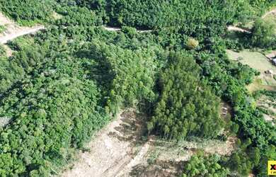 Imagem 6: Sítio / Chácara para Venda em Nova Petrópolis, Arroio Paixão