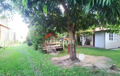 Imagem 7: Fazenda em Saltinho - Centro - Saltinho/SP