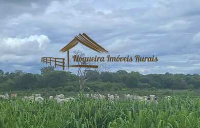 Imagem: A fazenda possui 1m² de Área e está localizado em Januária