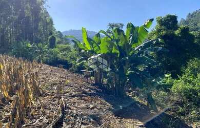 Imagem 8: Chácara com vista e riacho na Serra Gaúcha