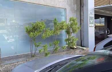 Imagem 2: Lojão Av. Jorge Amado - Imbuí