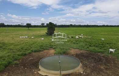 Imagem 15: EXCELENTE FAZENDA DE PLANTIO DE BANANA E PECUARIA NO NORTE DE MINAS