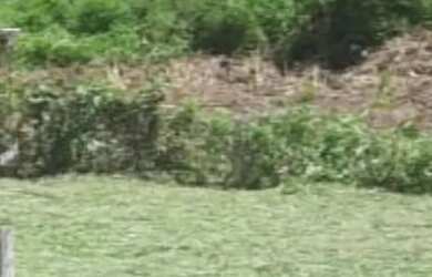 Imagem: O terreno possui 200m² de Área e está localizado em Campo